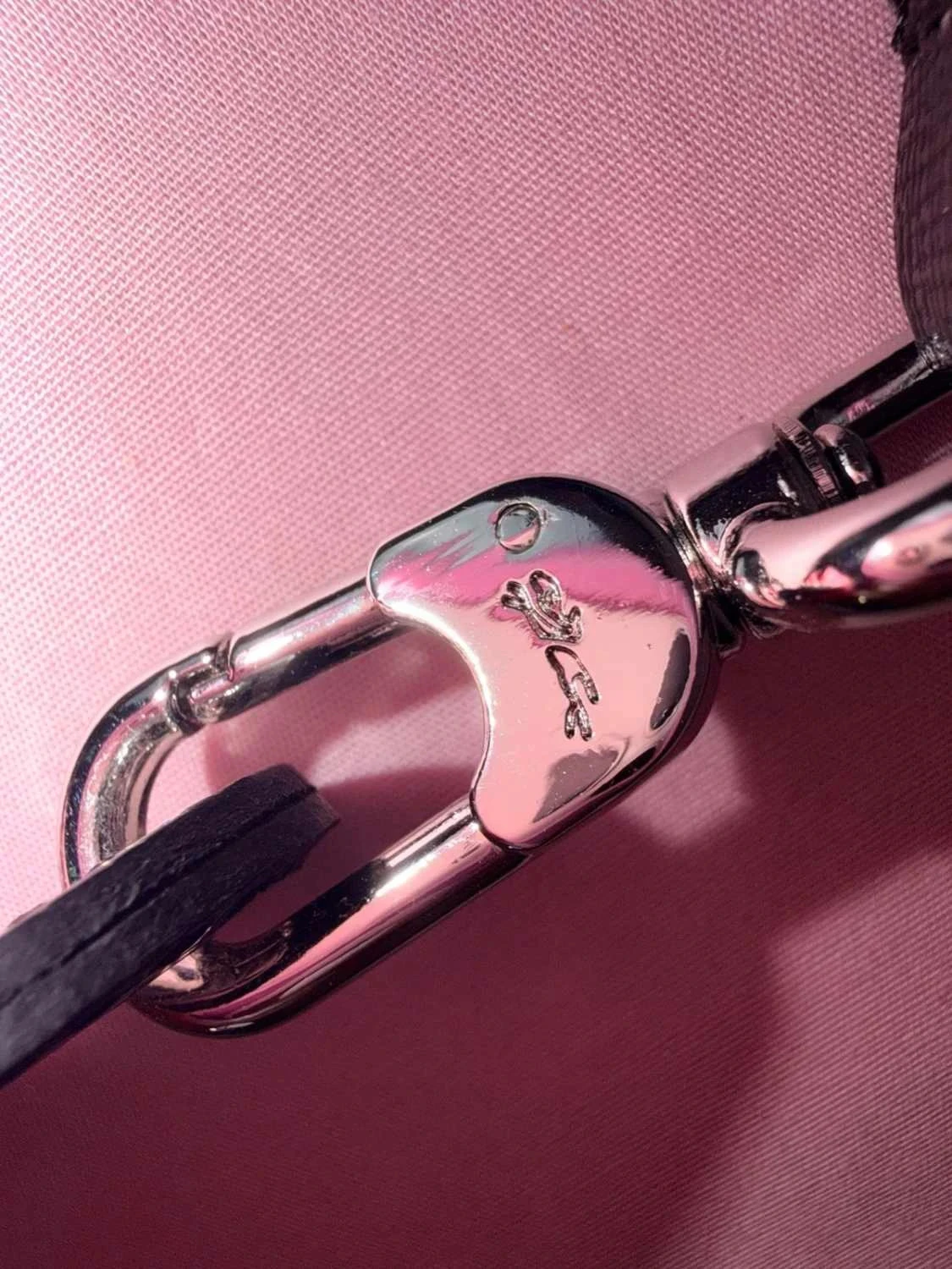 Kleine roze en zwarte Longchamp-tas schoon – photo 14